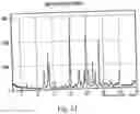Fig. 24 - Polymorphic forms of 3-(4-amino-1-oxo-1,3 dihydro-isoindol-2-yl)-piperidine-2,6-dione