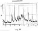 Fig. 31 - Polymorphic forms of 3-(4-amino-1-oxo-1,3 dihydro-isoindol-2-yl)-piperidine-2,6-dione