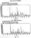Fig. 33 - Polymorphic forms of 3-(4-amino-1-oxo-1,3 dihydro-isoindol-2-yl)-piperidine-2,6-dione