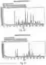 Fig. 34 - Polymorphic forms of 3-(4-amino-1-oxo-1,3 dihydro-isoindol-2-yl)-piperidine-2,6-dione