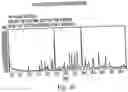 Fig. 35 - Polymorphic forms of 3-(4-amino-1-oxo-1,3 dihydro-isoindol-2-yl)-piperidine-2,6-dione