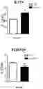 Fig. 21 - LANCL ligands