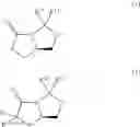 Fig. 13 - Methods of synthesizing a difluorolactam analog