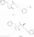Fig. 196 - Methods of synthesizing a difluorolactam analog