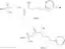Fig. 210 - Methods of synthesizing a difluorolactam analog