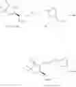 Fig. 226 - Methods of synthesizing a difluorolactam analog
