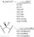 Fig. 82 - Methods of synthesizing a difluorolactam analog