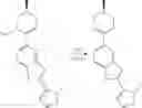 Fig. 1171 - Compounds and methods of use