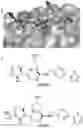 Fig. 01 - SMALL MOLECULES
