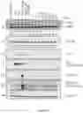 Fig. 11 - SMALL MOLECULES