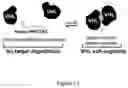 Fig. 14 - SMALL MOLECULES