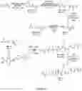 Fig. 26 - SMALL MOLECULES
