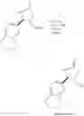 Fig. 16 - SUBSTITUTED PYRROLIDINE AMIDES II