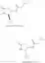 Fig. 32 - SUBSTITUTED PYRROLIDINE AMIDES II