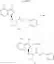 Fig. 56 - Processes for the preparation of 4-{8-amino-3-[(2S)-1-(but-2-ynoyl)-pyrrolidin-2-yl]imidazo[1,5-a]-pyrazin-1-yl}N-(pyridin-2-yl)-benzamide