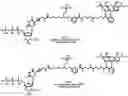 Fig. 01 - NUCLEOTIDE CLEAVABLE LINKERS AND USES THEREOF