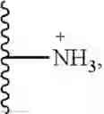 Fig. 16 - NUCLEOTIDE CLEAVABLE LINKERS AND USES THEREOF
