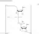 Fig. 25 - 5'-MODIFIED NUCLEOSIDE AND NUCLEOTIDE USING SAME