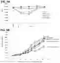 Fig. 09 - Desmoglein 2 (DSG2) binding proteins and uses therefor