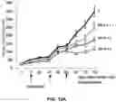 Fig. 20 - Desmoglein 2 (DSG2) binding proteins and uses therefor