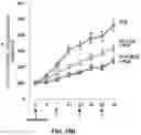 Fig. 21 - Desmoglein 2 (DSG2) binding proteins and uses therefor