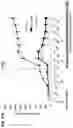 Fig. 25 - Desmoglein 2 (DSG2) binding proteins and uses therefor