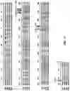 Fig. 26 - Desmoglein 2 (DSG2) binding proteins and uses therefor
