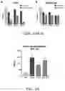 Fig. 13 - Chimeric molecules and uses thereof