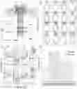 Fig. 01 - Mutant aerolysin and uses thereof