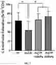 Fig. 03 - POLYPEPTIDES FOR RESTORING ENDOTHELIAL FUNCTION AND METHODS OF USE THEREOF