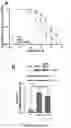 Fig. 07 - POLYPEPTIDES FOR RESTORING ENDOTHELIAL FUNCTION AND METHODS OF USE THEREOF