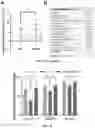 Fig. 14 - POLYPEPTIDES FOR RESTORING ENDOTHELIAL FUNCTION AND METHODS OF USE THEREOF