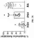 Fig. 16 - POLYPEPTIDES FOR RESTORING ENDOTHELIAL FUNCTION AND METHODS OF USE THEREOF