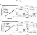 Fig. 04 - ANTITUMOR CELL COMPRISING A CHARGE MODIFIED GLOBIN
