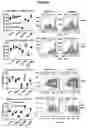 Fig. 05 - ANTITUMOR CELL COMPRISING A CHARGE MODIFIED GLOBIN
