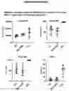 Fig. 09 - ANTITUMOR CELL COMPRISING A CHARGE MODIFIED GLOBIN
