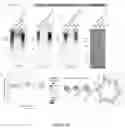 Fig. 42 - Recombinant lubricins, and compositions and methods for using the same