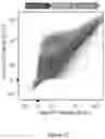 Fig. 27 - RECOMBINANT MUCINS, AND COMPOSITIONS AND METHODS FOR USING THE SAME
