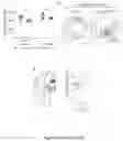 Fig. 36 - RECOMBINANT MUCINS, AND COMPOSITIONS AND METHODS FOR USING THE SAME