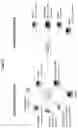 Fig. 02 - ANTIBODY CYTOKINE ENGRAFTED COMPOSITIONS AND METHODS OF USE FOR IMMUNOREGULATION