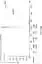 Fig. 15 - ANTIBODY CYTOKINE ENGRAFTED COMPOSITIONS AND METHODS OF USE FOR IMMUNOREGULATION