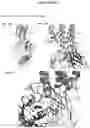 Fig. 18 - ANTIBODY CYTOKINE ENGRAFTED COMPOSITIONS AND METHODS OF USE FOR IMMUNOREGULATION