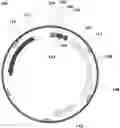 Fig. 01 - Method for continuous production of recombinant GLP-1 peptide by bacteria