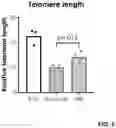 Fig. 06 - IMMUNOTHERAPIES USING ENHANCED iPSC DERIVED EFFECTOR CELLS