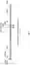 Fig. 03 - ALTERNATIVE INTRACELLULAR SIGNALLING DOMAIN OF A CHIMERIC ANTIGEN RECEPTOR