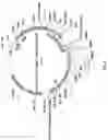 Fig. 04 - ALTERNATIVE INTRACELLULAR SIGNALLING DOMAIN OF A CHIMERIC ANTIGEN RECEPTOR