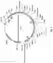 Fig. 08 - ALTERNATIVE INTRACELLULAR SIGNALLING DOMAIN OF A CHIMERIC ANTIGEN RECEPTOR