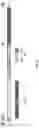 Fig. 13 - ALTERNATIVE INTRACELLULAR SIGNALLING DOMAIN OF A CHIMERIC ANTIGEN RECEPTOR