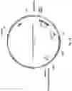 Fig. 14 - ALTERNATIVE INTRACELLULAR SIGNALLING DOMAIN OF A CHIMERIC ANTIGEN RECEPTOR