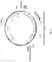 Fig. 22 - ALTERNATIVE INTRACELLULAR SIGNALLING DOMAIN OF A CHIMERIC ANTIGEN RECEPTOR